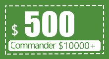 $500 coupon