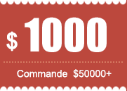 $1000 coupon