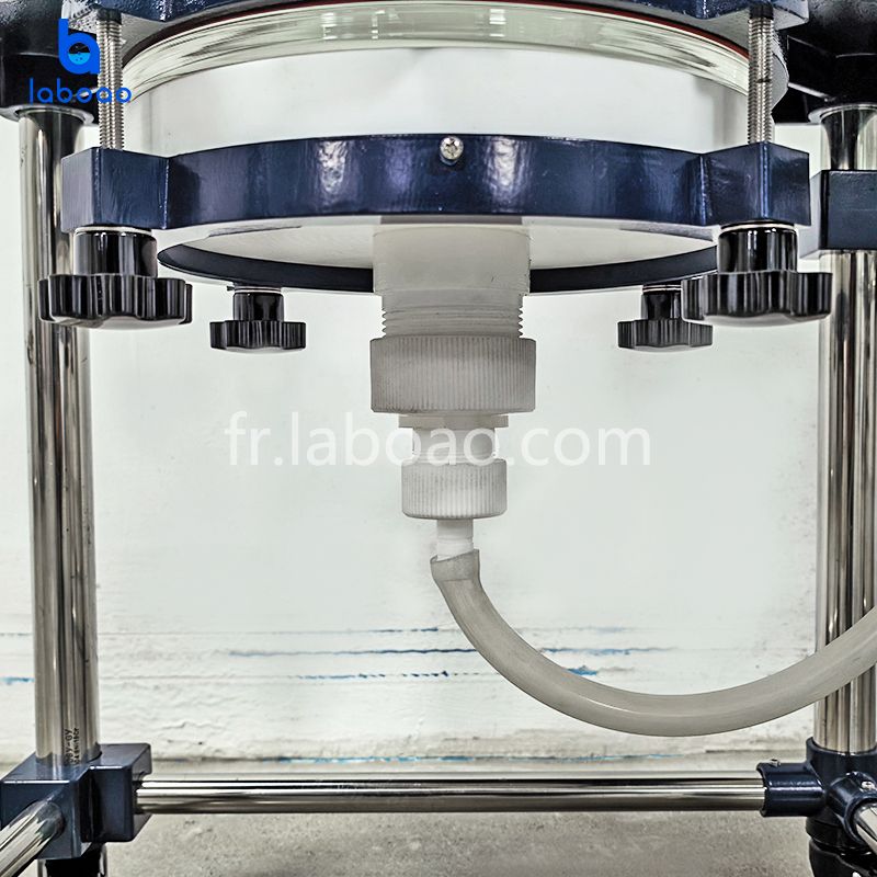 Réacteur de filtre de cristallisation de laboratoire 50L 80L pour isolat de CBD