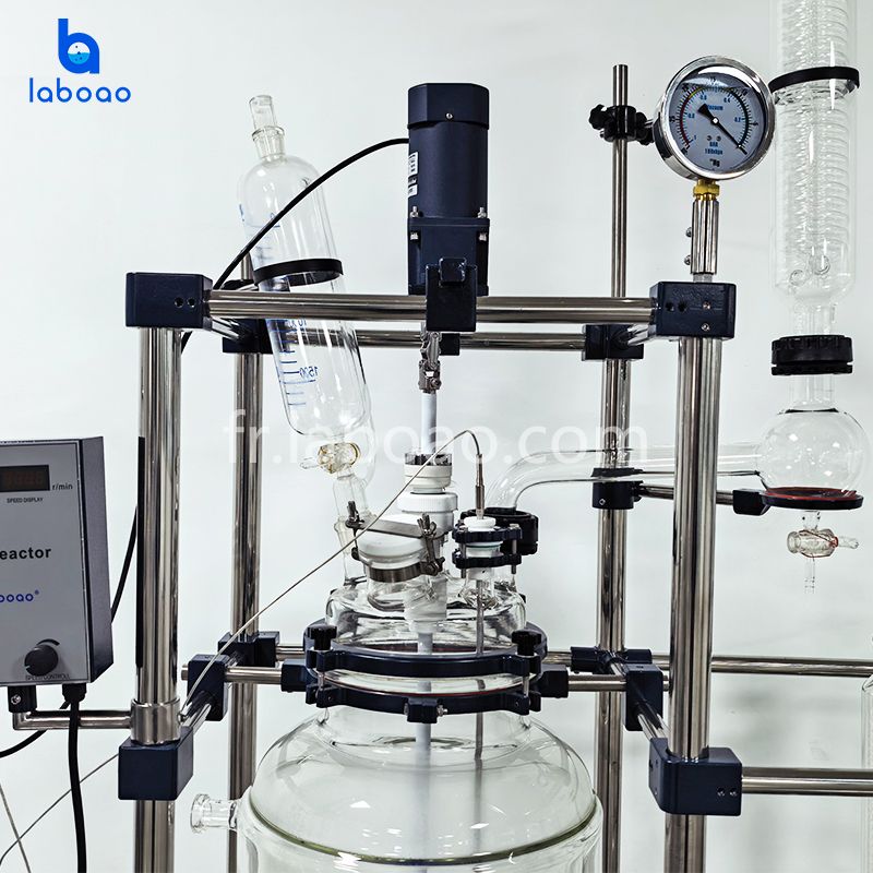 Réacteur de filtre de cristallisation de laboratoire 50L 80L pour isolat de CBD