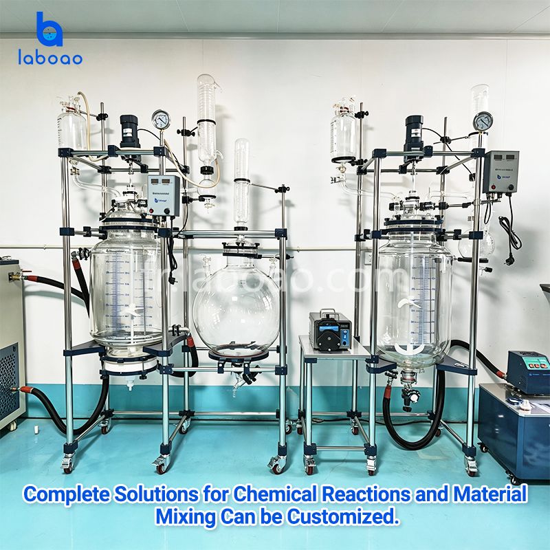 Réacteur de filtre de cristallisation de laboratoire 50L 80L pour isolat de CBD
