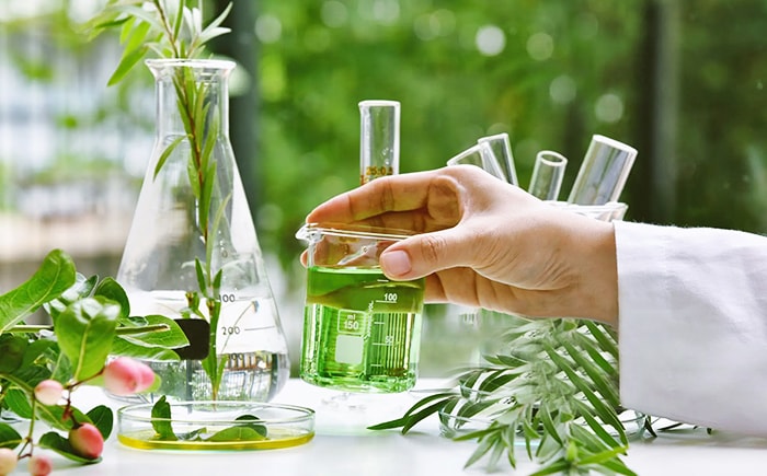Extraction et purification de produits naturels et d'ingrédients végétaux
