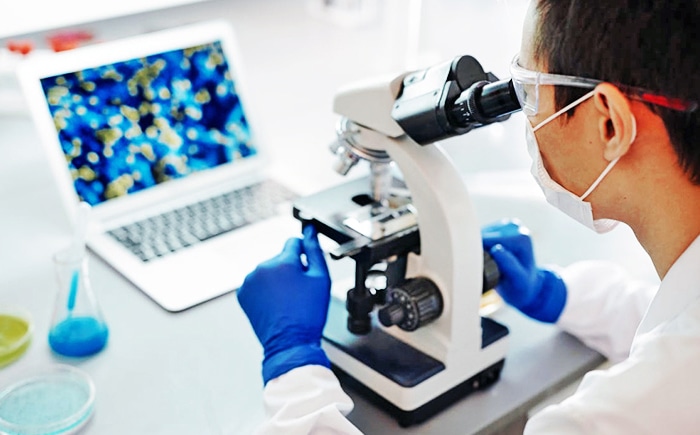 Contrôle de la qualité pharmaceutique et R&D